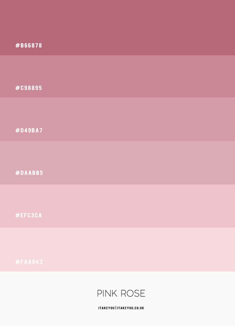 Pink Rose Colour Scheme | Shades of pink colour palette | Pink Combos Pink Colors Shades Rose, Pantone Colors Pink Shades, Pink Colour Palette Hex Codes, Pink Colours Shades, Pink Shades Palette, Shades Of Pink Hex Codes, Paint Color Schemes Pink, Colors Of Pink Shades, Pink Shade Color Palette