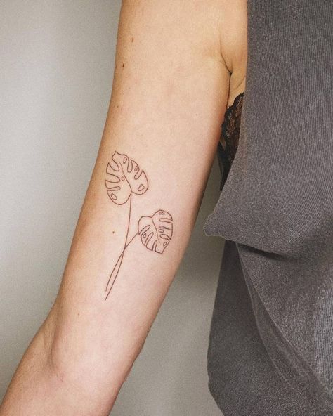 Monstera Deliciosa Tattoo, Monstera Plant Tattoo, Monstera Tattoo, Black Line Tattoo, Daffodil Tattoo, Vine Tattoos, Plant Tattoo, Jesus Love, Poke Tattoo