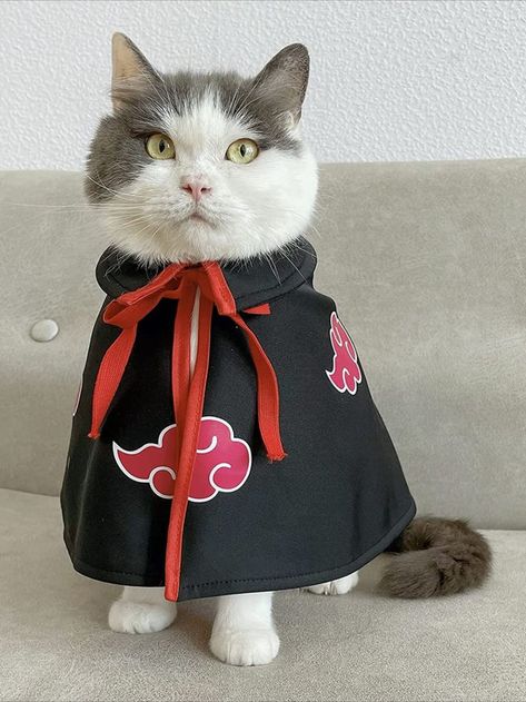 Cat Cloak Anime Ninja Costume，Halloween Pet Clothes,Pet Cloak Cosplay Party for Small Dogs Cats Clothing Diy Clothes For Cats, Cloak Anime, Ninja Halloween, Small Dog Costumes, Pet Anime, Pet Costumes Cat, Chat Diy, Cat Cosplay, Chat Halloween