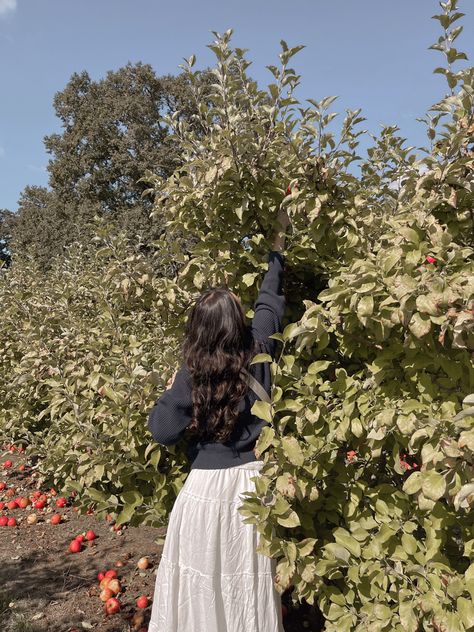 Apple picking, fall activities, white skirt outfit, sweater outfit, curled hair Apple Employee Outfit, Fall Outfits For Apple Picking, Picking Apples Aesthetic, Apple Farm Outfit, Fall White Skirt Outfits, Apple Picking Fits, Apple Picking Poses, Skirt Photoshoot Poses, Apple Picking Photoshoot