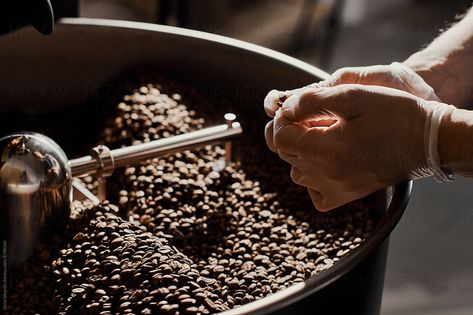 a man checks the roasting of coffee. The coffee factory. Professional coffee making. Equipment for roasting grain. Coffee Bean Roasting, Roasting Coffee Beans, Coffee Shots, Coffee Factory, Coffee Roasting Machine, Roasting Coffee, Grinding Coffee Beans, Factory Work, Robusta Coffee