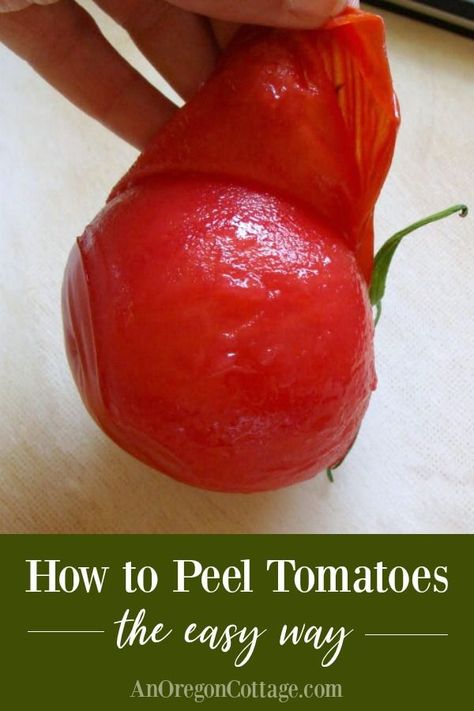 Peeling Tomatoes, Peel Tomatoes, Canning And Preserving, Freezing Tomatoes, Tomato Pruning, Tomatoes In Containers, Pressure Canning Recipes, Tomato Farming, Growing Tomatoes In Containers