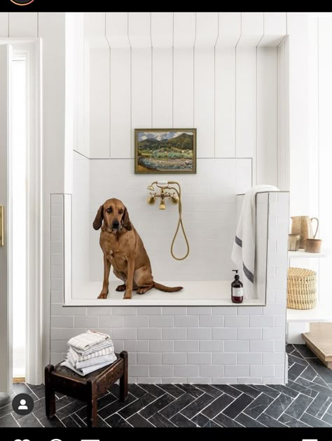 Boho Laundry, Pet Washing Station, Wash Station, Dog Washing Station, Blogger Home, Pantry Ideas, Dog Wash, Dog Shower, Dog Rooms