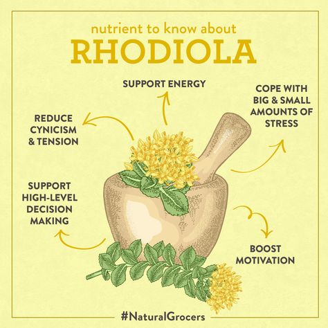 Rhodiola Benefits, Herb Healing, Spiritual Journaling, Roll With The Punches, Natural Grocers, Holistic Diet, Rhodiola Rosea, Wellness Inspiration, Remote Learning