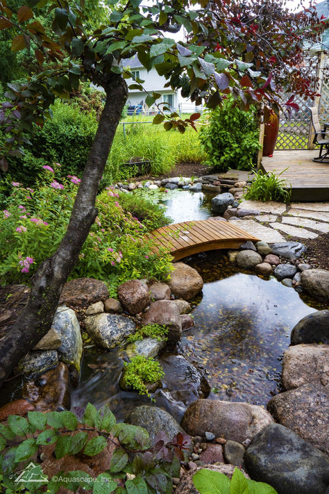 Small backyard pond with fountain and wooden bridge. #pond #waterfall #outdoorfountain #waterlilies Natural Garden Pond Ideas, Acorn People, Backyard Stream, Small Backyard Ponds, Diy Ponds Backyard, Pondless Waterfall, Patio Pond, Green Living Room, Backyard Pond