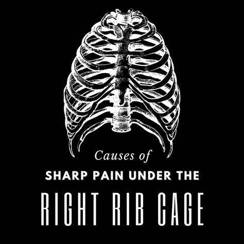 Here are the causes of sharp pain under the right rib cage and accompanying symptoms. Rib Pain Relief, Intercostal Muscle Strain, Wide Rib Cage, Pancreatic Diet, Human Ribs, Quadrants Of The Abdomen, Rib Pain, Thoracic Vertebrae, Florence Nightingale