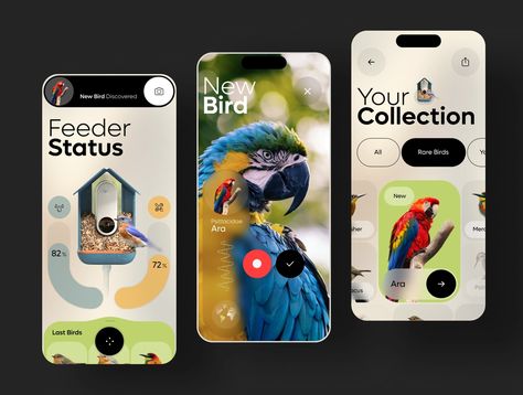 Bird Buddy - Smart Camera Bird Feeder by RD UX/UI for RonDesignLab on Dribbble Bird Buddy, Bird App, Bird Mobile, Rare Birds, Mobile App Design, Ux Ui, Bird Feeder, Mobile Design, App Ui