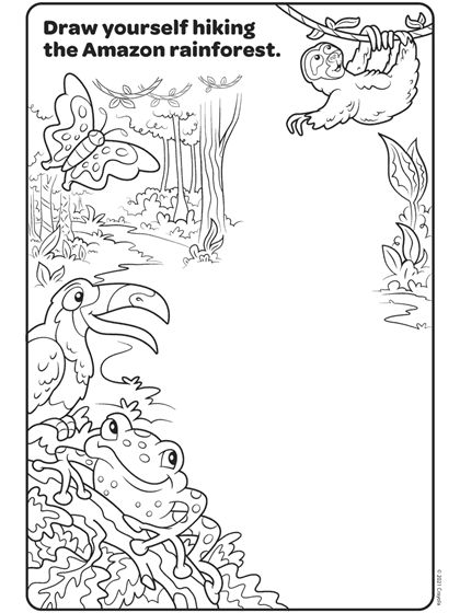 Rainforest Preschool, Rainforest Crafts, Amazon Rainforest Animals, Rainforest Activities, Colors Of The World, Forest Coloring Pages, Rainforest Habitat, Art Activities For Toddlers, Animal Worksheets