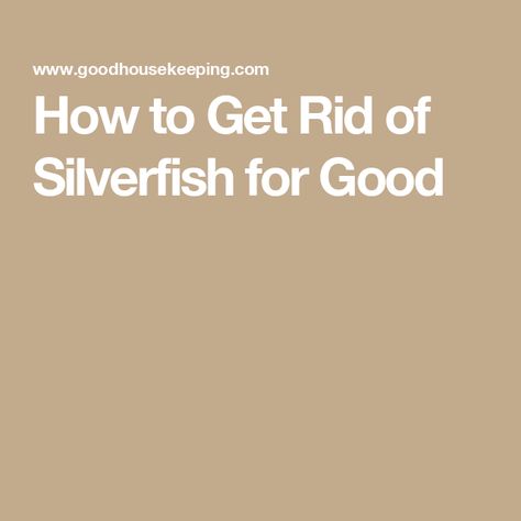 How to Get Rid of Silverfish for Good Get Rid Of Silverfish, Silver Fish, House Beautiful, Good House, My House, Beautiful Homes, Cinnamon, Fish, Silver