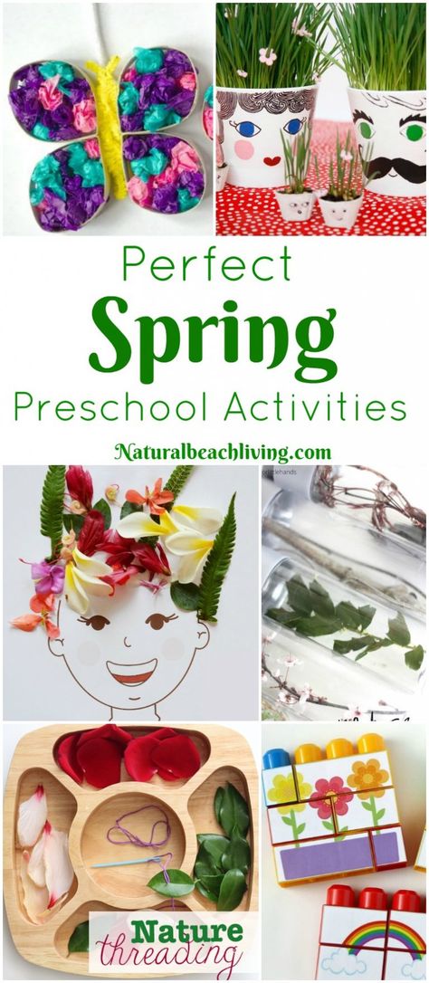 The Best Spring Preschool Themes and Lesson Plans, Free Printables, Life cycles for kids, Flower activities, Farm activities for preschool, Preschool books, Pond Theme, Animal habitats, preschool themes, Fun Preschool Themes, List of Spring Preschool Themes, Find The Best Preschool Themes and activities here Life Cycles Preschool Activities, Life Cycle Preschool, Preschool Lesson Plans Themes, Life Cycles Preschool, Spring Activities For Kids, Spring Lesson Plans, Spring Theme Preschool, Spring Preschool Activities, Spring Lessons