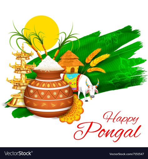 Kanuma Festival, Happy Kanuma, Pongal Images, Thai Pongal, Happy Pongal Wishes, Happy Pongal, Happy Makar Sankranti, Wedding Album Design, Festival Background