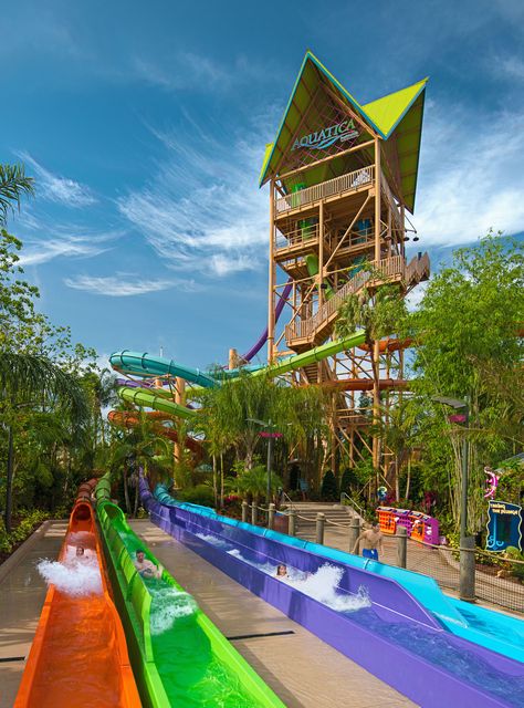 Now Open: Sea World Aquatica's Ihu’s Breakaway Falls Water Park Tips, Aquatica Orlando, Water Park Rides, Orlando Florida Vacation, Busch Gardens Tampa Bay, Water Theme Park, Best Amusement Parks, Taman Air, Busch Gardens Tampa