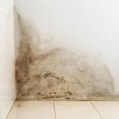 Once you've shut down the water source and electricity, you may be staring at puddles and wondering, "What now?" Now it's time to assess and do water damage repair—and do it quickly! Wet materials start developing very serious problems like mold after around 24 hours. You don't have time to wait. Water Damaged Ceiling, Ceiling Leak, Exposed Basement Ceiling, Basement Repair, Cavity Wall Insulation, Roof Problems, Pex Tubing, Water Damage Repair, Cavity Wall