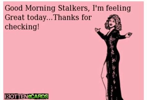 Good morning stalkers Sarcastic Humour, Fabulous Quotes, Get Off Me, Know Who You Are, Ecards Funny, Bones Funny, Morning Quotes, Words Of Wisdom, Growing Up