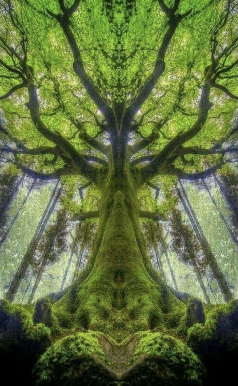 Hippy Aesthetic, Fractals In Nature, Trippy Pictures, Trippy Visuals, Hippie Aesthetic, Psychadelic Art, Psy Art, Spiritual Artwork, Hippie Wallpaper