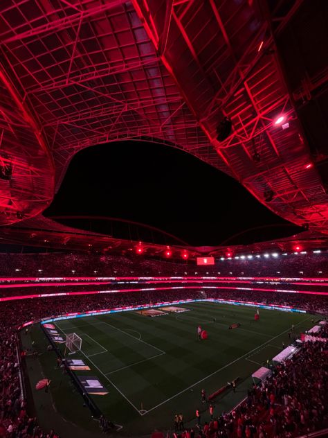 Benfica Aesthetic, Benfica Wallpaper, Soccer Stadium, Red Lights, Fc Bayern Munich, Football Stadiums, Football Pictures, Football Wallpaper, Bayern Munich