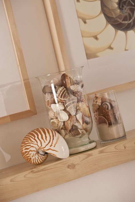 Seashell Display, Shell Display, Shells And Sand, Shell Crafts Diy, Sea Shell Decor, Beach Diy, Shell Decor, Sand Art, Seashell Crafts