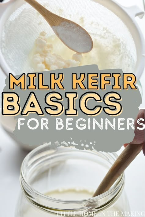 Milk Kefir Recipes, Milk Kefir Grains, Fermented Dairy, Water Kefir Grains, Fermented Milk, Kefir Recipes, Kefir Grains, Water Kefir, Milk Kefir