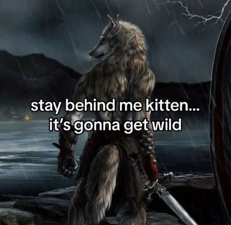 Alpha And Kitten, Cursed Things To Send To Your Friends, Im Gonna Touch You, Alpha Quote, Wolf Meme, Alpha Werewolf, Macho Alfa, Alpha Wolf, Alpha Sigma