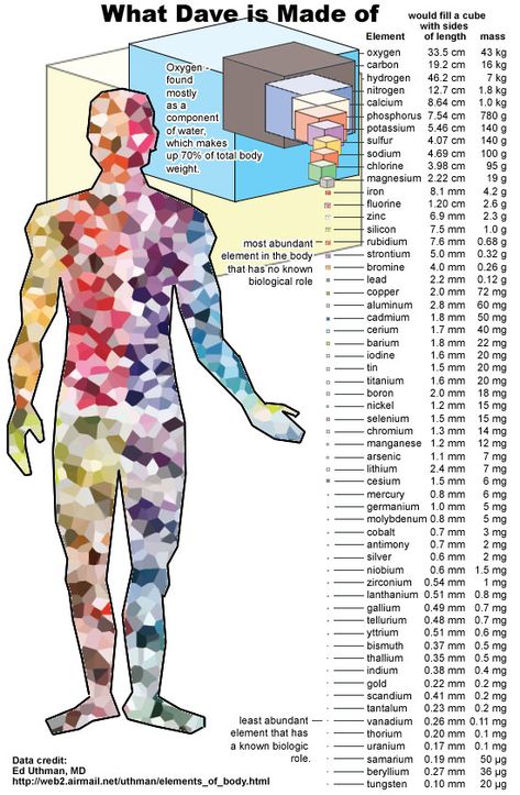 Elements Dave is made of. Teaching Chemistry, High School Science, Middle School Science, Body Systems, Science Teacher, Anatomy And Physiology, Biochemistry, Science Classroom, Science Education