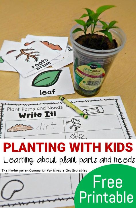 Make planting with kids fun and hands on, while learning about plant parts and needs with this fun and free writing center! #GroablesProject #ad Plants Kindergarten, Plant Lessons, Kids Writing Activities, Plant Parts, Plant Activities, Plants Unit, 1st Grade Science, About Plants, Plant Life Cycle