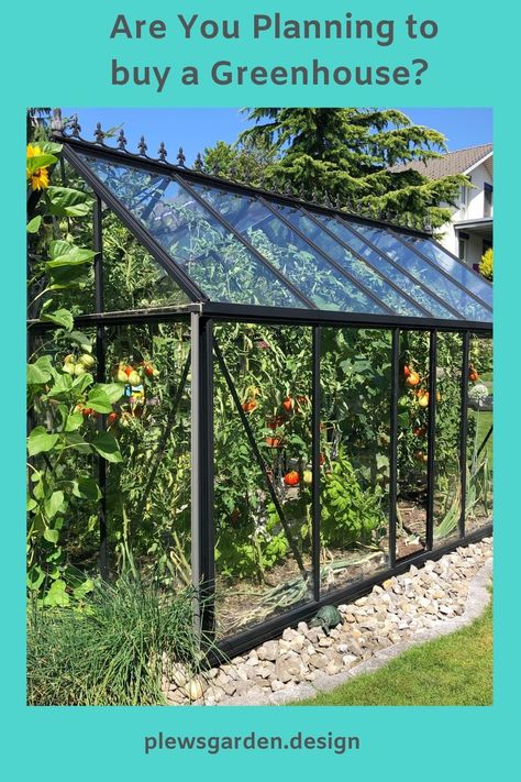 Greenhouse Kits For Sale, Greenhouses For Sale, Best Greenhouse, Large Greenhouse, Walk In Greenhouse, Build A Greenhouse, Greenhouse Ideas, Greenhouse Plants, Greenhouse Growing