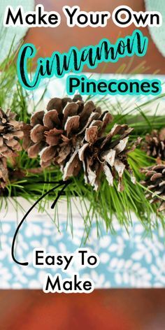 Homemade Cinnamon Pinecones, Cinnamon Scented Pinecones, Cinnamon Pinecones, Elf Birthday, Homemade Potpourri, Diy Cinnamon, Happy Birthday Letter, Scented Pinecones, Pinecone Crafts Christmas