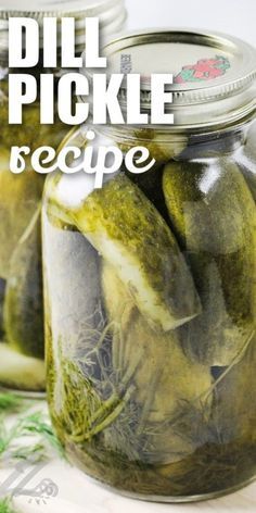 This dill pickle recipe for canning makes the best homemade, preservative-free pickles ever. In this easy recipe, pickling cukes are sliced into spears, packed into canning jars, and immersed in an easy brine made with kosher salt, vinegar, garlic, and fresh dill weed and dill seeds. Pickles can be stored for months, to enjoy all year long. Enjoy as is, or dice into relish or slice into chips. #dillpicklerecipeforcanning #canneddillpicklerecipe #ourzestylife #dillpicklerecipecanning Dill Pickle Brine Recipe, Pickles For Canning, Best Dill Pickle Recipe, Dill Pickles Homemade, Easy Dill Pickle Recipe, Make Dill Pickles, Pickle Juice Recipe, Pickles Homemade Easy, Canning Pickles Recipe