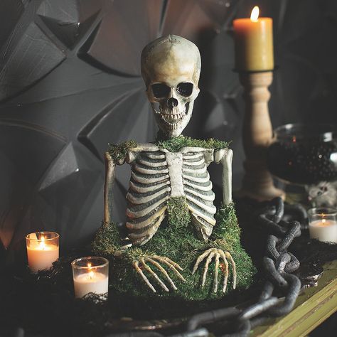 Invite shivers and smiles alike this Halloween with our enchanting Mossy Skeleton Tabletop Decoration, destined to be the undead life of your party! This cheeky skeleton, draped in the emerald mystery of moss, springs to life at the center of your spooky soiree. A bone-chilling addition to your Halloween party decorations, this animated companion promises an unforgettable mix of fright and delight. Place this tabletop decor among your haunting hors d'oeuvres selection or let it make a morbid statement amidst your eerie ambiance. Perfect for those who love their Halloween with a side of spine-tingling fun! Mossy Skeleton, Halloween Yard Props, Halloween Living Room Decor, Halloween Themes Decorations, Halloween Living Room, Halloween Mantle, Halloween Express, Elegant Halloween, Adult Halloween Party