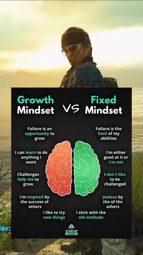 Growth Mindset Vs Fixed Mindset, Fixed Mindset, The Law Of Attraction, Growth Mindset, Law Of Attraction, Quotes