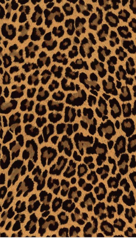 Cheetah Print Background, Leopard Print Wallpaper, Cheetah Print Wallpaper, Animal Print Background, Images Hello Kitty, Afrique Art, Animal Print Wallpaper, Animal Print Pattern, Edgy Wallpaper