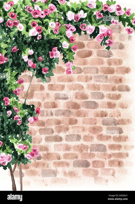 Download this stock image: Brick wall with climbing rose. Hand drawn watercolor illustration and background - 2G0XA21 from Alamy's library of millions of high resolution stock photos, illustrations and vectors. Brick Wall Art Ideas, Brick House Painting Canvas, Climbing Roses Painting, Climbing Roses Illustration, Painting Of Bricks, Climbing Roses Drawing, House With Flowers Drawing, Flowers On Wall Painting, Drawing Brick Wall