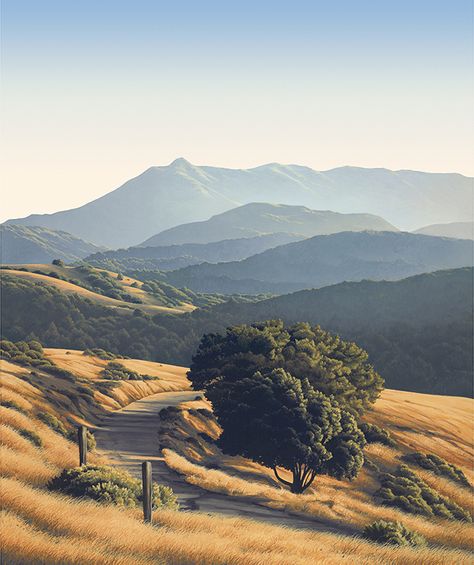 Hill Landscape Photography, California Landscape Photography, California Landscape Paintings, Brown Mountains, Landscape Hill, Hill Painting, Nature Landscape Painting, California Hills, Mount Tamalpais