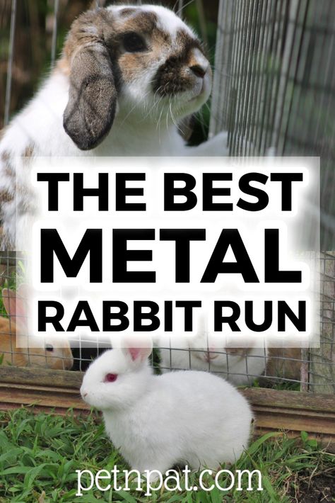 The Best Metal Rabbit Run – 5 Top Picks 2020!  #rabbit #pets #animals #bunny #rabbithutch #rabbitrun Rabbit Waterer, Rabbit Enclosures, Outdoor Rabbit Run, Outdoor Rabbit, Rabbit Enclosure, Raising Rabbits, Rabbit Breeds, Pet Essentials, Rabbit Run