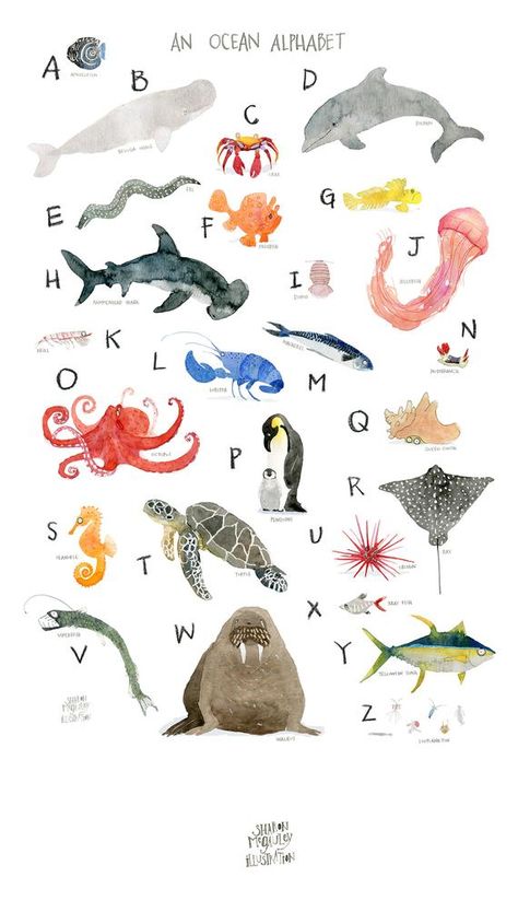 Ocean Animal Alphabet Art Print, Marine Biology ABC Poster For Nursery or Kids Room Ocean Animal Poster, Biology Homeschool, Ocean Alphabet, Biology For Kids, Biology Poster, Alphabet Art Print, Animal Learning, Montessori Lessons, Abc Print