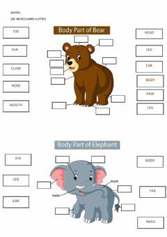 Parts of the body Language: English Grade/level: 2 School subject: English as a Second Language (ESL) Main content: Animals Body Parts Other contents: animals Animal Exercises For Kids, Animal Body Parts Worksheet, Animal Worksheets For Kids, Animals Worksheets For Kids, Parts Of Animals, Body Parts Worksheet, Animals Worksheet, Animal Body Parts, English Activities For Kids