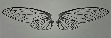 Cicada Wings Tattoo, Cicada Wing Tattoo, Bug Wing Tattoo, Bug Wings Tattoo, Cicada Drawing, Bug Wings, Cicada Art, Cicada Tattoo, Wing Tattoos On Back