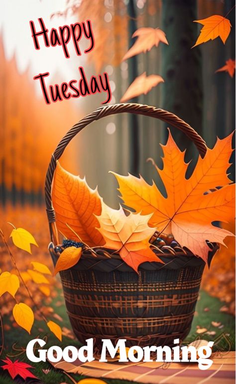 Tuesday Fall Morning, Good Morning Tuesday Fall Images, Good Morning October 1st, Autumn Morning Quotes, Happy Tuesday Fall, Fall Good Morning, Good Morning Fall, Good Tuesday Morning, Good Morning Happy Tuesday