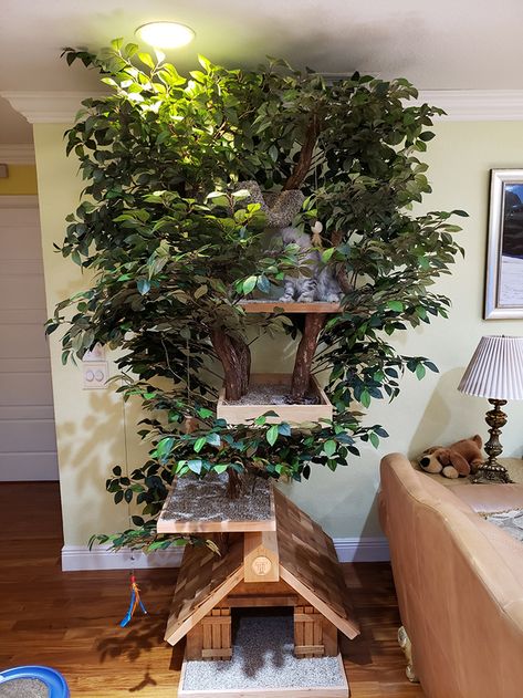 Cat Tree With Real Tree, Real Cat Tree, Unique Cat Tree Diy, Indoor Cat Room Ideas Diy, Cat Tree Diy Plans, Homemade Cat Tree, Natural Cat Tree, Indoor Cat Tree, Cat Tree Ideas