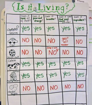 Anchor Chart Living or Non-living Science Investigation Table, Plants Kindergarten, Steam Classroom, Science Experience, Biological Science, Global Perspectives, Living And Nonliving, Kindergarten Units, Preschool Room