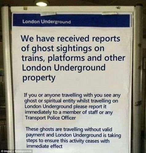 Ghost Sightings, British Memes, British Things, British Humor, Lockwood And Co, Welcome To Night Vale, Night Vale, London Transport, London Underground