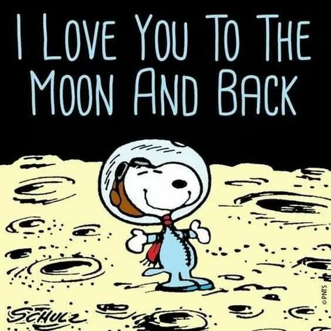 I love you to the moon and back Snoopy Charlie Brown Y Snoopy, Woodstock Snoopy, Charlie Brown Snoopy, Snoopy Funny, Snoopy Images, Peanuts Cartoon, Peanuts Characters, Snoopy Quotes, Snoopy Pictures