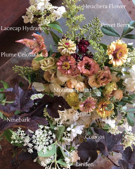 Perfect Late-Summer Blooms for Every Bouquet - thefloralcoach.com Late Summer Florals, Late Summer Wedding Florals, Late Summer Floral Arrangements, Late Summer Bridal Bouquet, Late Summer Flower Arrangements, September Flower Arrangements, Late Summer Bouquet, Echinacea Bouquet, Cut Flower Bouquet Ideas