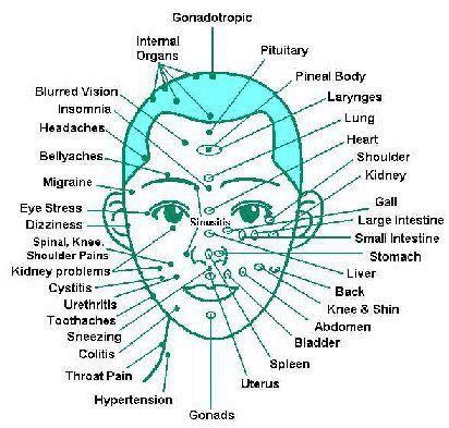 These are Hand & Foot & Ear & Head Reflex Pointsİf You have any Sickness , You can give Yourself a Massage to This Reflex Points ( Press with thumb for 5 seconds & release for 3 seconds, in the affected point. Repeat for 2-3 minutes for 5 to 10 days. You will get relief  with Natural Oils Reflexology Chart, Face Mapping, Reflexology Massage, Shiatsu Massage, Acupuncture Points, Acupressure Points, Facial Massage, Pressure Points, Alternative Health