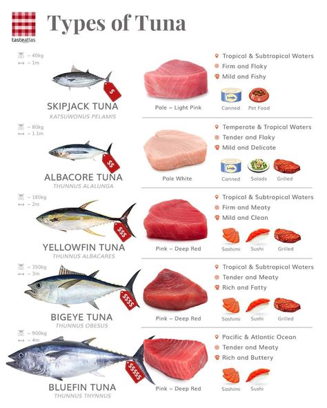 Resep Sushi, Culinary Basics, Culinary Cooking, Food Vocabulary, Best Seafood Recipes, Culinary Techniques, Food Infographic, Makanan Diet, Sushi Recipes