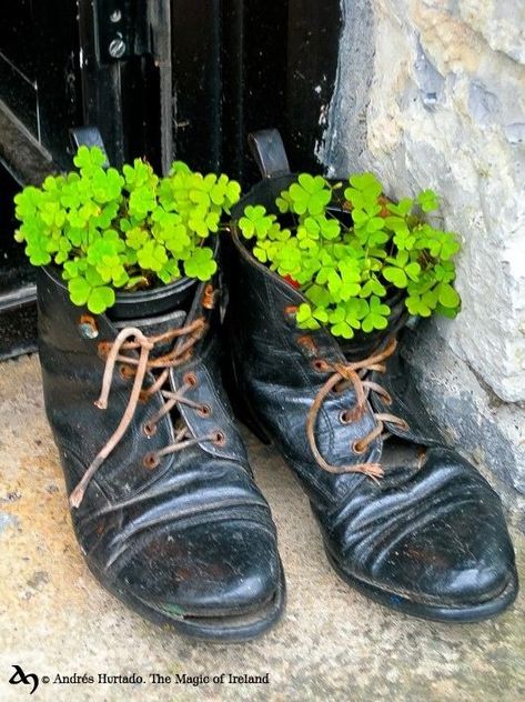 Sant Patrick, St Patricks Decorations, Day Party Ideas, Irish Decor, Erin Go Bragh, Irish Cottage, Old Boots, St Patrick's Day Decorations, Saint Patties