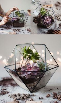 How To Make a Terrarium | #terrarium #stainedglass #diyterrarium #terrariummaking #indoorgardening #succulents #moss #gardening #geometricterrarium #productdesign #slowliving Make A Terrarium, Terrarium Wedding, Cactus Terrarium, Succulent Bowls, Diy Succulent Terrarium, Mini Terrarium, Succulent Centerpieces, Geometric Terrarium, Hanging Succulents