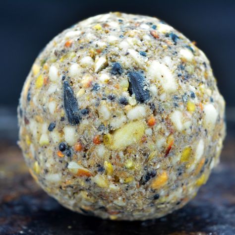 How to make Fat Balls for Birds - Garden Bird Feeder Suet Recipe, Suet Bird Feeder, Bird Suet, Make A Bird Feeder, Suet Cakes, Meal Worms, Suet Feeder, Seed Balls, Chicken Bird