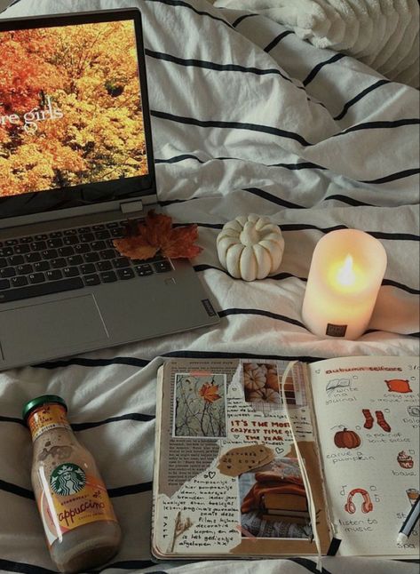 Autumn Aesthetic Study, Autumn Aesthetic Photos, Fall Aesthetic Pictures, Fall Szn, Herbst Bucket List, Autumn Afternoon, Fall Boards, Autumn Girl, Fall Mood Board