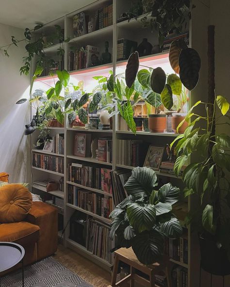 Plant mom • Instagram Plant Mom Aesthetic Bedroom, Plant House, Plant Mama Aesthetic, Plant Mom Art, Artsy Plant Mom Aesthetic, Plant Mom Aesthetic, Future Apartment, Plant Mom, House Layouts